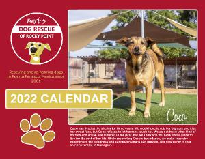 Barb's Dog Rescue Of Rocky Point - 2022 Calendar | Create Photo Calendars