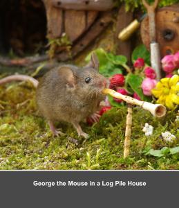 George the Mouse in a log pile house