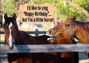 happy birthday horse gif